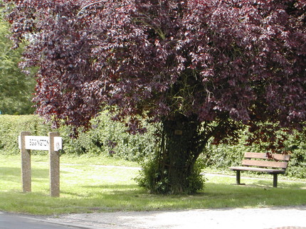 Our Parish Council